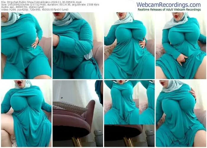 stripchat-amalarabic-11-30-2024-09-59-31