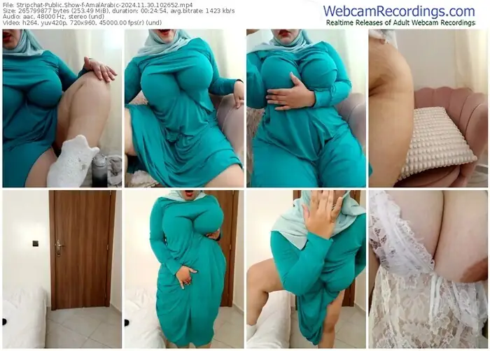 stripchat-amalarabic-11-30-2024-10-26-52