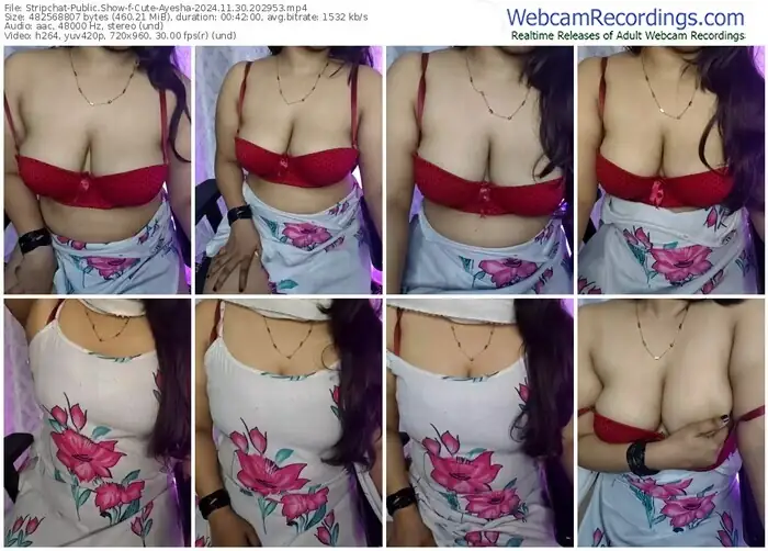 stripchat-cute-ayesha-11-30-2024-20-29-53