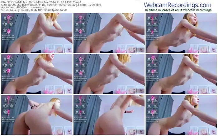 stripchat-elis_fox-11-30-2024-14-38-17