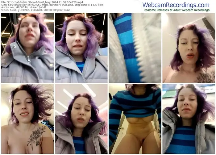 stripchat-frost_foxy-11-30-2024-06-42-50