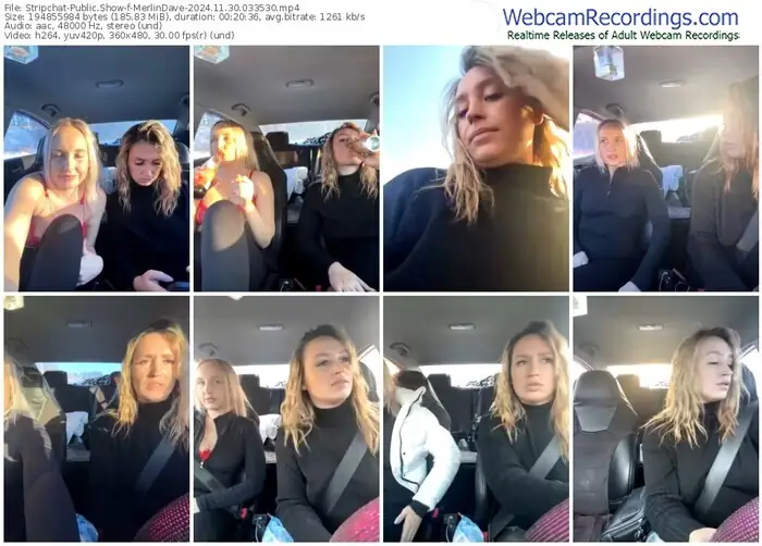 stripchat-merlindave-11-30-2024-03-35-30