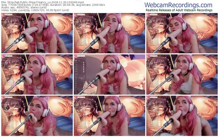 stripchat-nancy_lu-11-30-2024-19-32-46