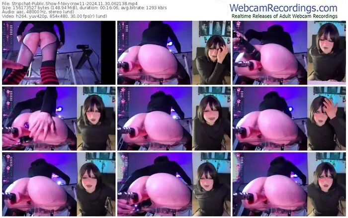 stripchat-nixycrow11-11-30-2024-06-21-38