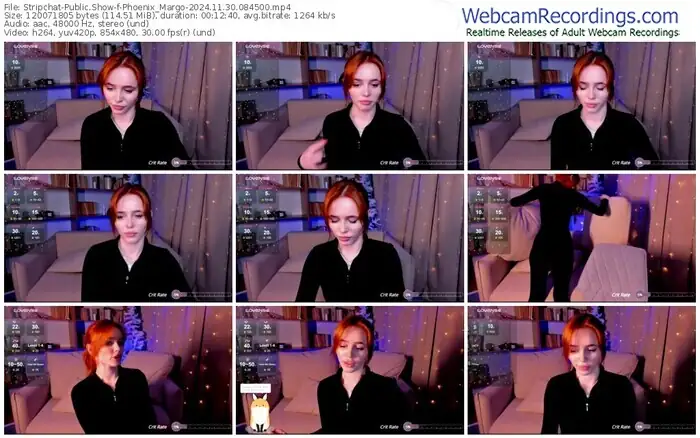 stripchat-phoenix_margo-11-30-2024-08-45-00