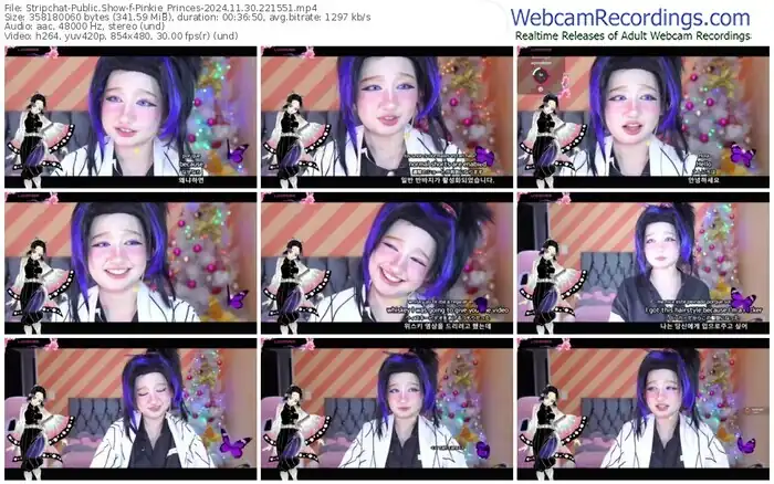 stripchat-pinkie_princes-11-30-2024-22-15-51