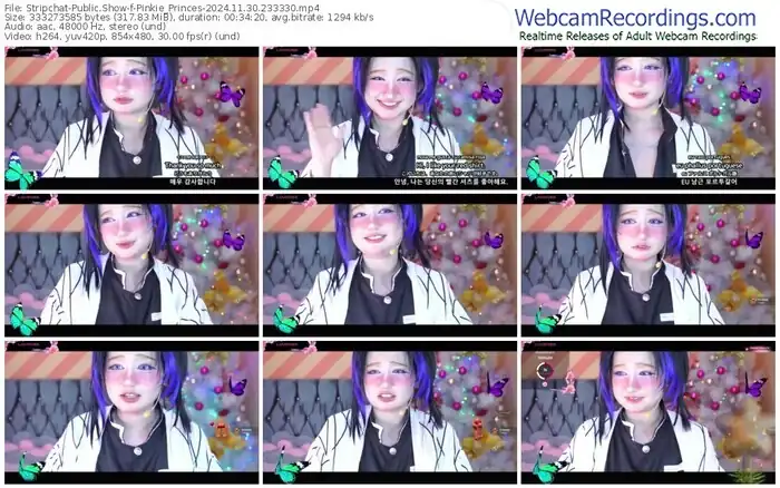 stripchat-pinkie_princes-11-30-2024-23-33-30