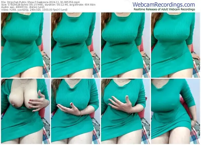 stripchat-saakoora-11-30-2024-08-53-59