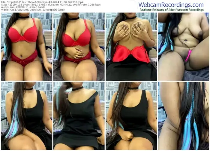 stripchat-shenaya-4u-11-30-2024-16-23-00