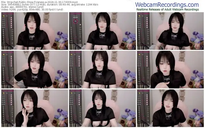 stripchat-vaness-a-11-30-2024-17-43-09
