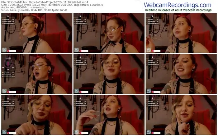 stripchat-vortexproject-11-30-2024-16-48-41