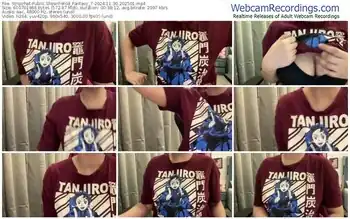 stripchat-wild_fantasy_7-11-30-2024-20-25-01