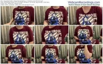 stripchat-wild_fantasy_7-11-30-2024-20-42-39