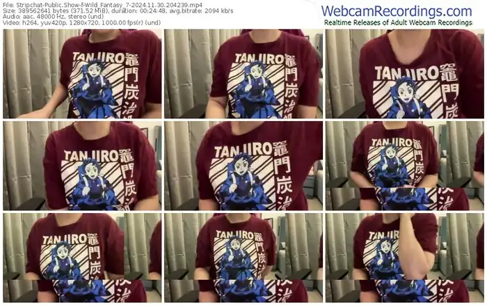 stripchat-wild_fantasy_7-11-30-2024-20-42-39