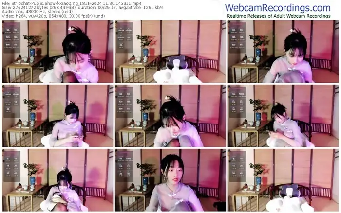 stripchat-xiaoqing_1811-11-30-2024-14-33-11
