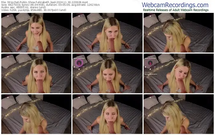 stripchat-elizabeth_bad-11-30-2024-22-39-28