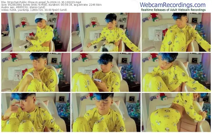 stripchat-angel_fs-11-30-2024-19-32-23