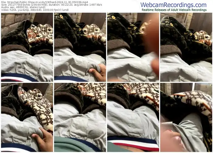 stripchat-vicky530hard-11-30-2024-05-03-39