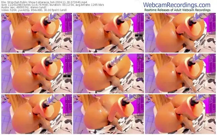 stripchat-ataraxia_hot-11-30-2024-07-26-40