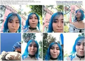 stripchat-gerallfoxxx-12-01-2024-13-05-21