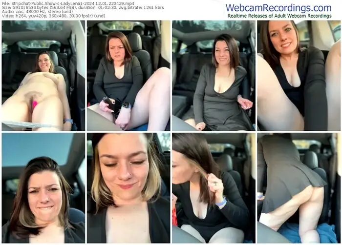 stripchat-ladylena1-12-01-2024-22-04-29