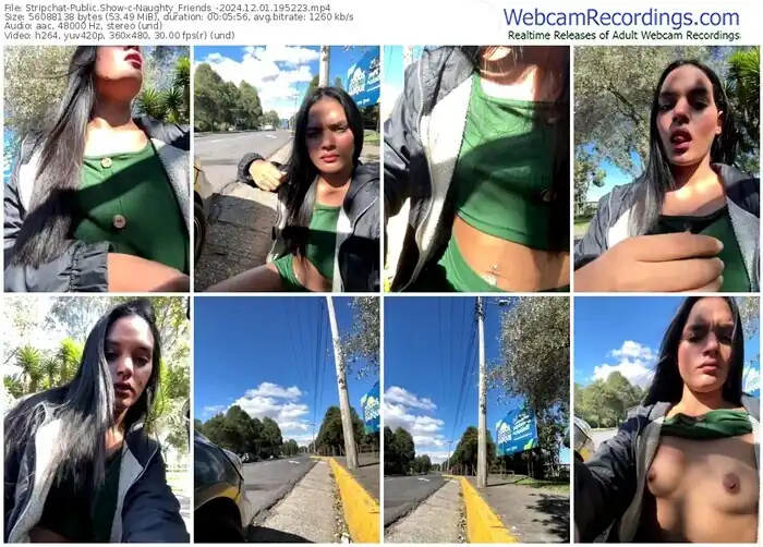 stripchat-naughty_friends_-12-01-2024-19-52-23