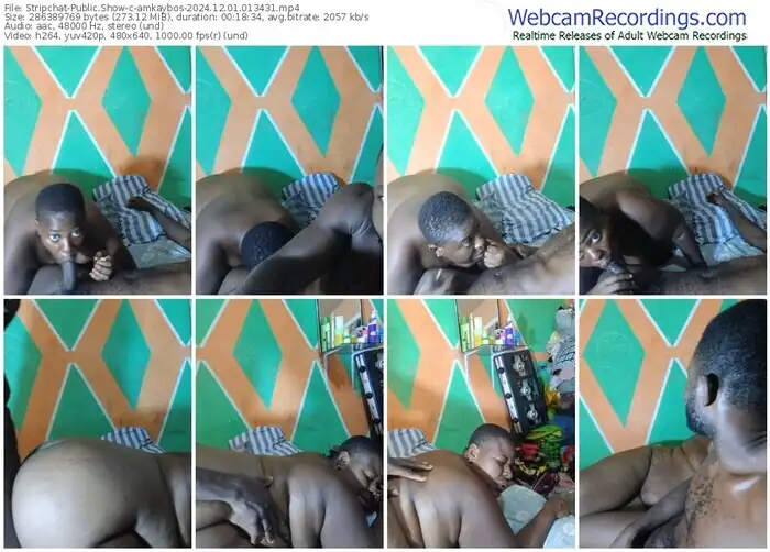 stripchat-amkaybos-12-01-2024-01-34-31