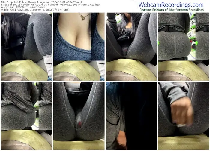 stripchat-kim_monti-12-01-2024-00-54-22