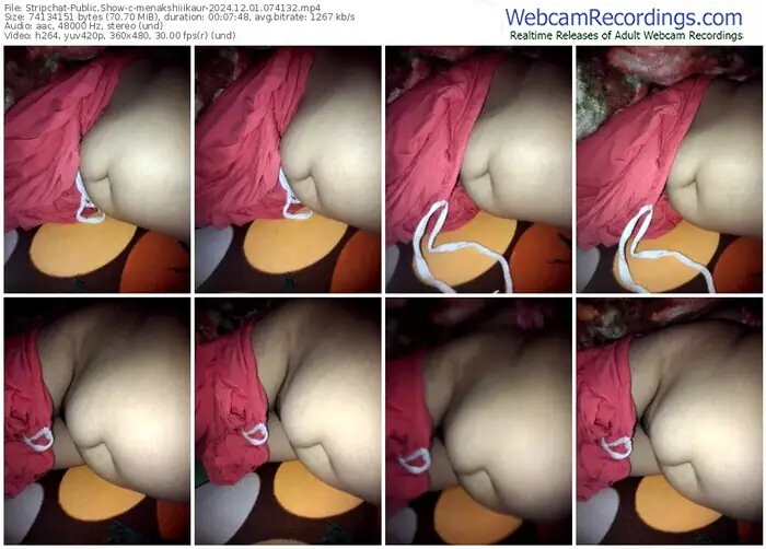 stripchat-menakshiiikaur-12-01-2024-07-41-32