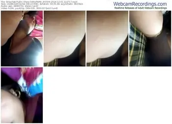 stripchat-anupama_jhoshi-12-01-2024-22-27-17