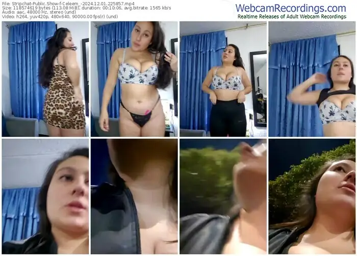 stripchat-celeem_-12-01-2024-22-58-57