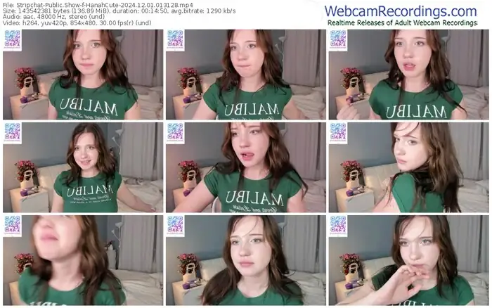 stripchat-hanahcute-12-01-2024-01-31-28