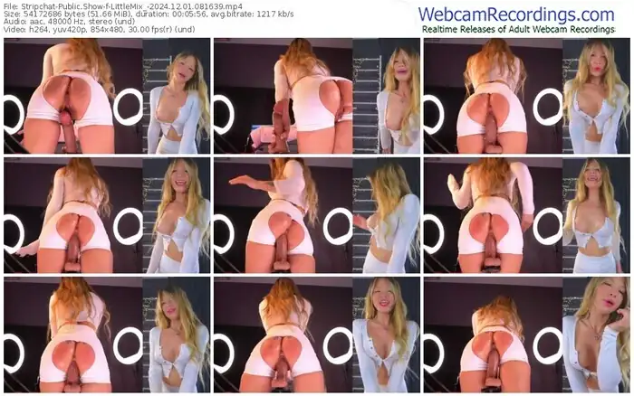 stripchat-littlemix_-12-01-2024-08-16-39