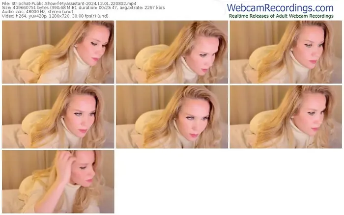 stripchat-myassistant-12-01-2024-22-08-02