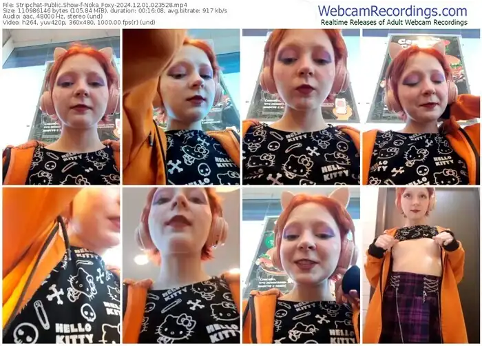 stripchat-noka_foxy-12-01-2024-02-35-28