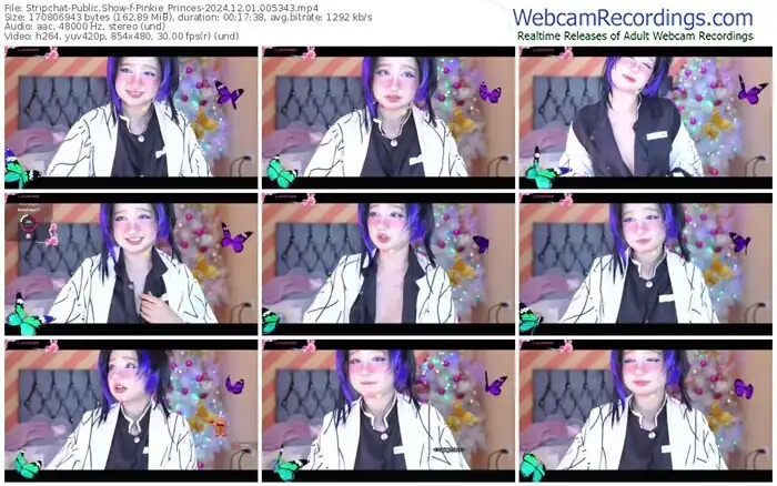 stripchat-pinkie_princes-12-01-2024-00-53-43