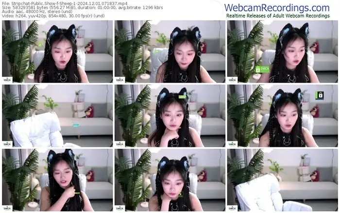 stripchat-sheep-1-12-01-2024-07-18-37