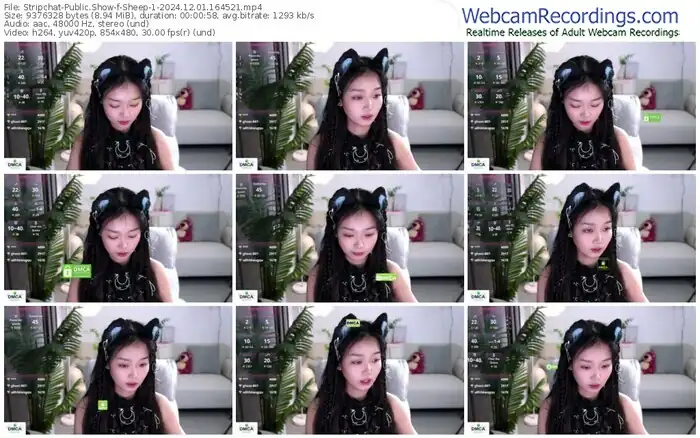 stripchat-sheep-1-12-01-2024-16-45-21