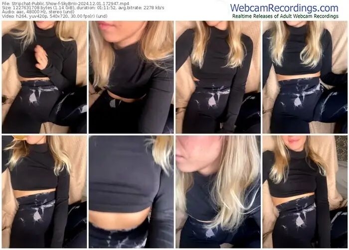 stripchat-skybriii-12-01-2024-17-29-47