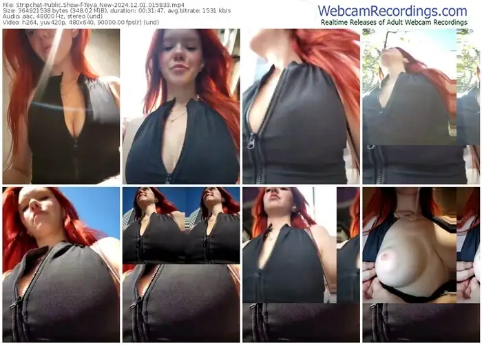 stripchat-teya_new-12-01-2024-01-58-33