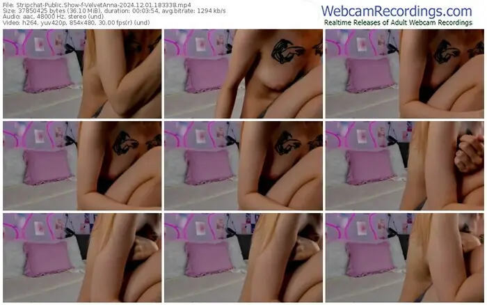 stripchat-velvetanna-12-01-2024-18-33-38