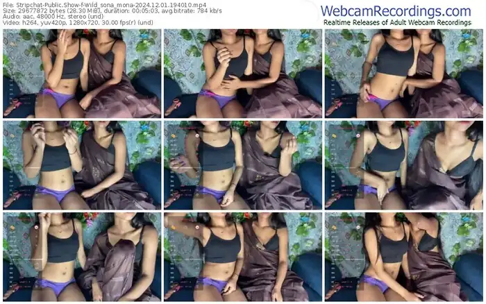 stripchat-wild_sona_mona-12-01-2024-19-40-10