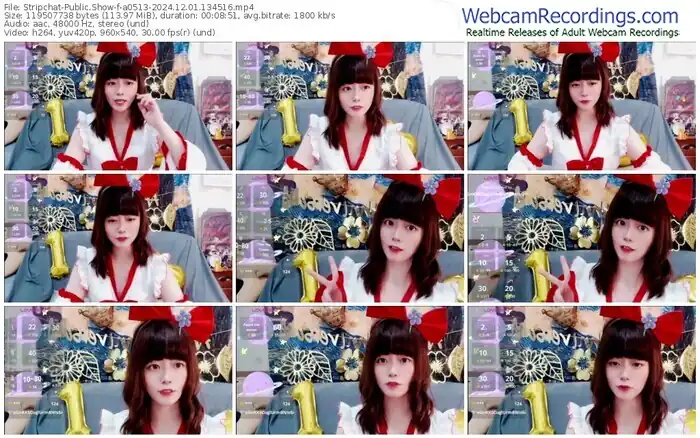 stripchat-a0513-12-01-2024-13-45-16
