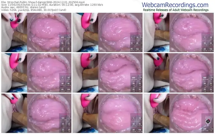 stripchat-danigirl866-12-01-2024-20-25-06