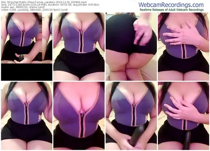 stripchat-innas_xarabe1-12-01-2024-23-08-44