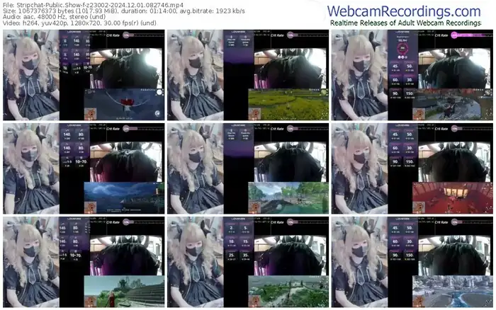 stripchat-z23002-12-01-2024-08-27-46