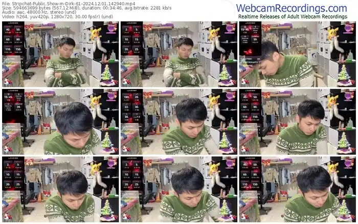 stripchat-dirk-61-12-01-2024-14-29-40