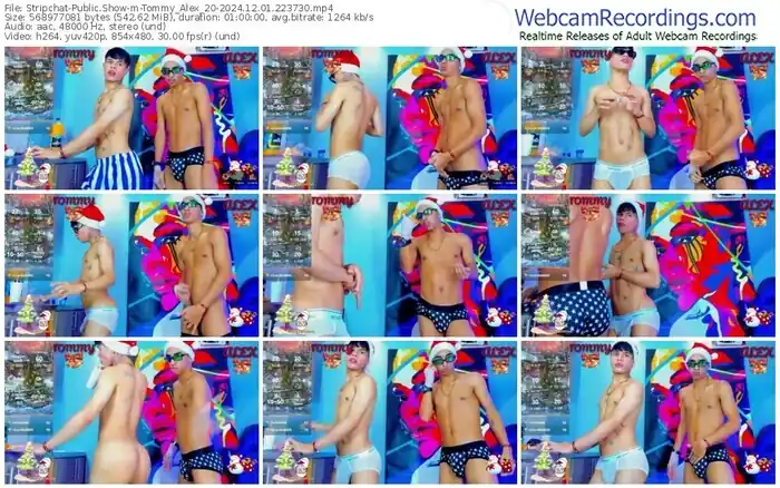 stripchat-tommy_alex_20-12-01-2024-22-37-30