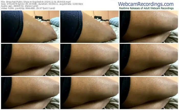 stripchat-bigoledick-12-01-2024-05-44-19