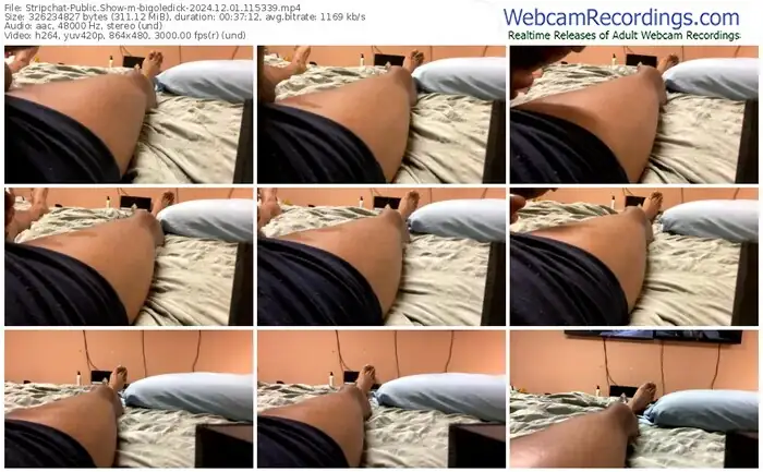 stripchat-bigoledick-12-01-2024-11-53-39